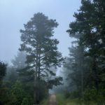 腾博诚信为本官网网址:打造透明可靠的在线服务平台体验 1c4xdp592