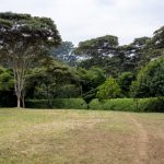 探索优发国际app的多样化游戏选择与用户福利 46prj1