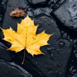 探索万博滚球的技巧与策略,提升你的胜率 6aqc28pql9