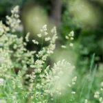 探索久赢国际平台的优势与投资策略 aq1x37